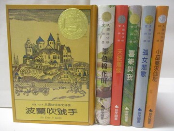 【書寶二手書T6／兒童文學_VIL】波蘭吹號手_天使雕像_孤女悲歌等_6本合售