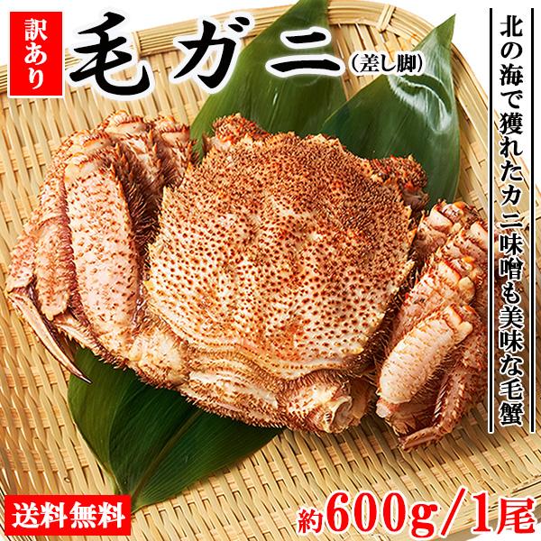 毛ガニ 毛蟹 訳あり 650g かに姿 カニ味噌 かにしゃぶ 蟹 カニ かに 北海道産 shr-018