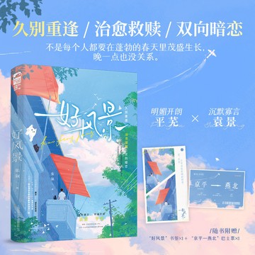 【博雅堂】好風景 100%正品  久別重逢 治愈救贖 張敘叙 著