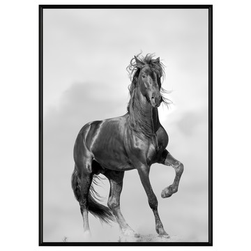 菠蘿選畫所 駿馬奔騰掛畫 展現奔放活力與藝術氣息  40 x 30cm  黑色