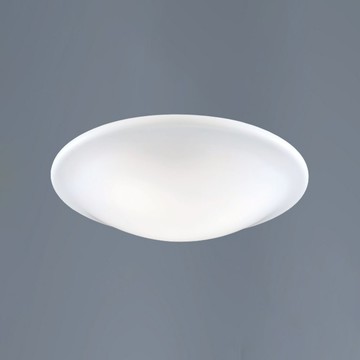 E27 壓克力吸頂二燈 B250-53-12-3013