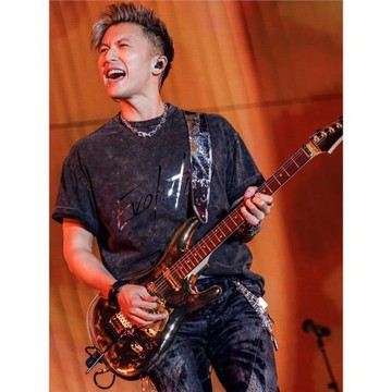 謝霆鋒2025演唱會同款水洗黑重磅T恤短袖周邊反光純棉男女做舊t潮