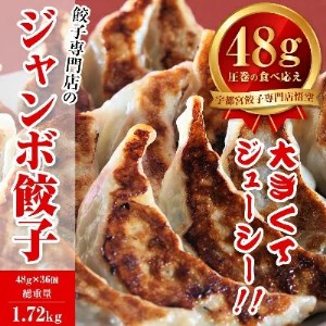 宇都宮餃子専門店 悟空　ジャンボ餃子36個入 ※離島への配送不可