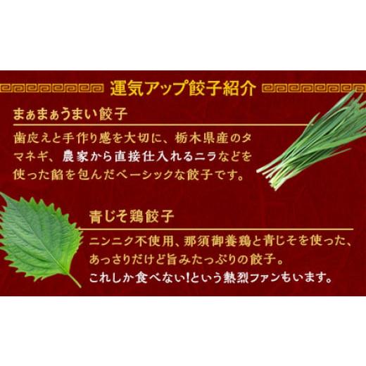 ふるさと納税 栃木県 宇都宮市 宇都宮餃子　まあまあウマイ餃子20個　保存料不使用