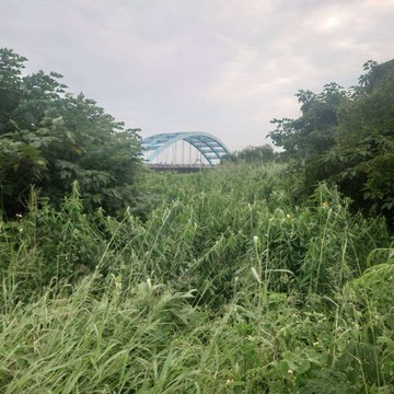 台南學甲華宗橋信義路農地｜都市計畫內｜未來具發展潛｜台南市學甲區信義段