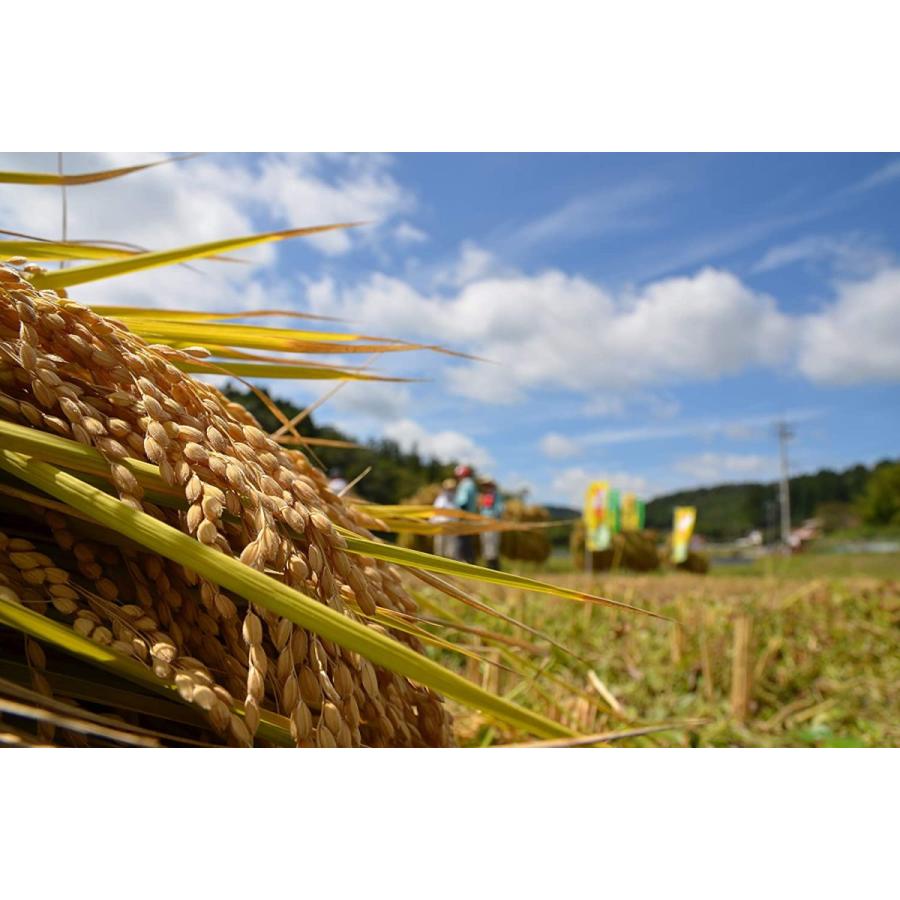 精米広島県産恋の予感 5kg 令和2年産