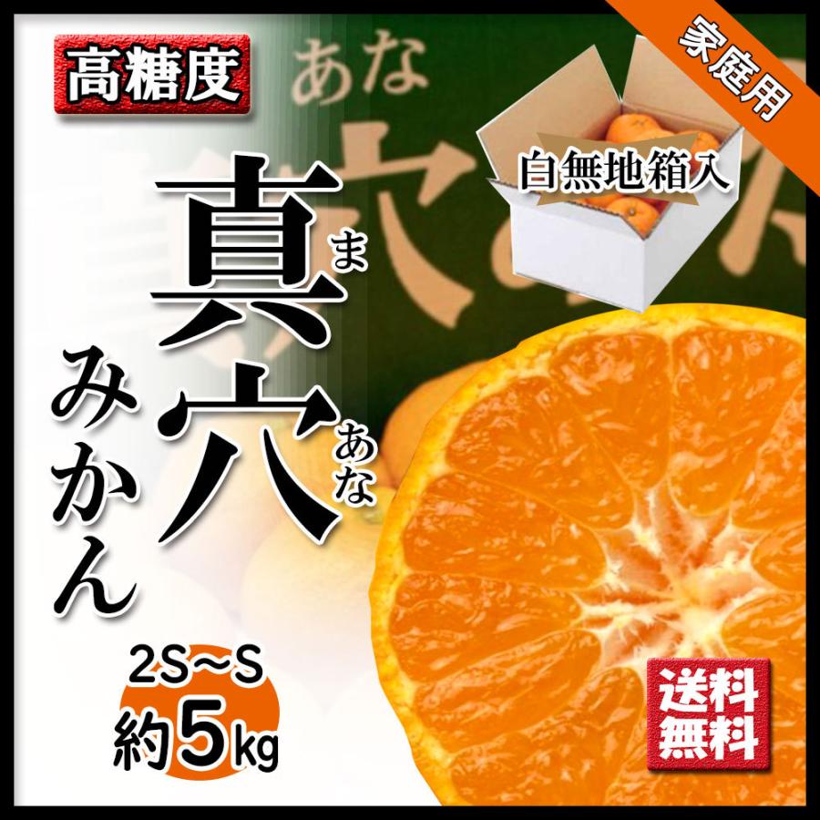 真穴みかん 家庭用 みかん 真穴 約5ｋｇ S〜2S 小玉 送料無料