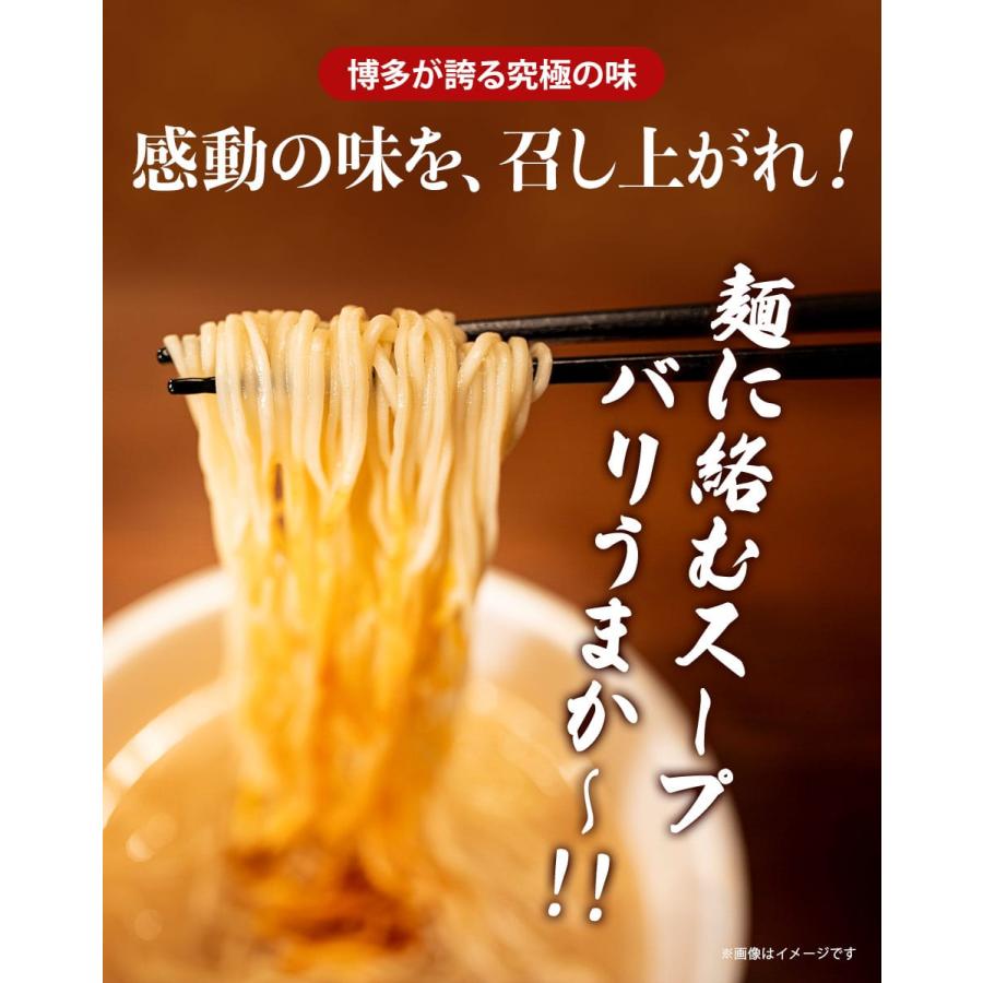 一蘭ラーメン博多細麺(ストレート） 一蘭特製 赤い秘伝の粉付2セット 福岡 博多 有名店 豚骨 ラーメン とんこつ 専門店 グルメ 乾麺 土産