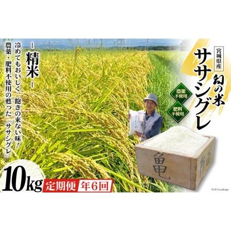 ふるさと納税 6回 定期便 希少品種米 ササシグレ 精米 10kg×6回 総計60kg   長沼 太一   宮城県 加美町 宮城県加美町