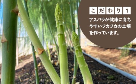 ＜先行予約＞春芽 アスパラガス 700gアスパラ 野菜 [HCC005]