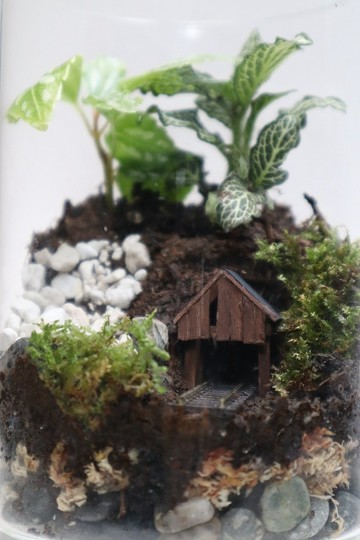 【微景觀】 礦山歷蘚記 - 苔蘚組盆/室內植物/礦山鐵道
