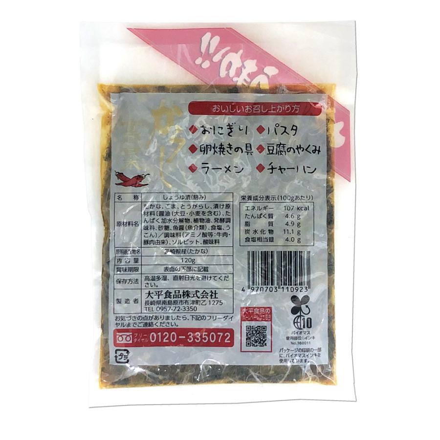 からし高菜 120g×1袋 長崎県産高菜使用 大平食品 お試しセット