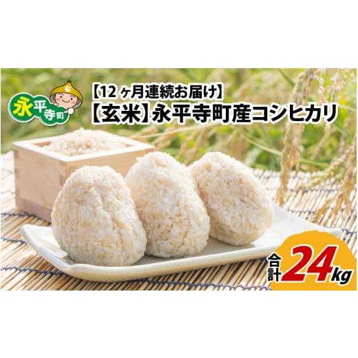 ふるさと納税 福井県 永平寺町  令和5年度産 永平寺町産 コシヒカリ 2kg×12ヶ月（計24kg）  [E-033055]