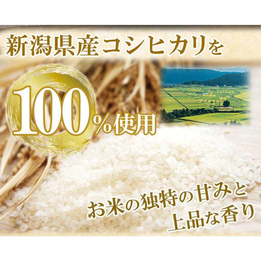 たいまつ食品 レトルトおかゆ 4種類計20食セット 新潟県産コシヒカリ使用