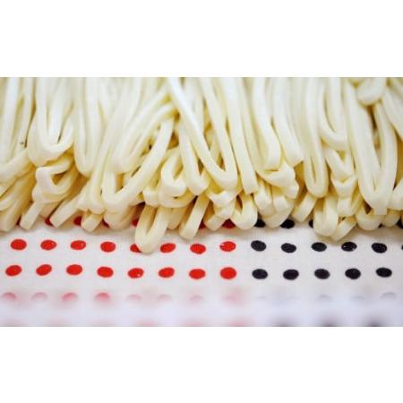 ふるさと納税 純手打ち 冷凍うどん 10人前 (冷凍うどん・かけうどんダシ・天かす付) 宮崎県えびの市