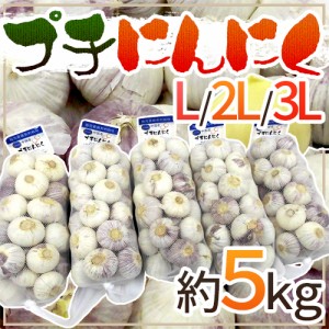 ”プチにんにく” L 2L 3L 約5kg 送料無料