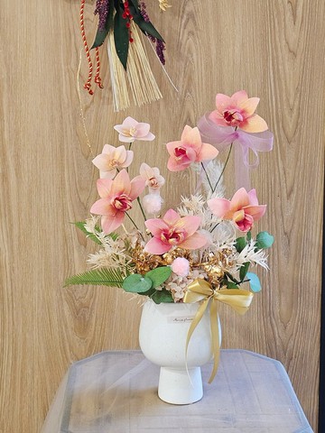 索拉蘭花迎春盆花 富貴鴻運 新年盆花 新年佈置 現貨