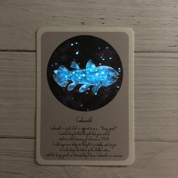 腔棘魚 星空明信片 (螢光)