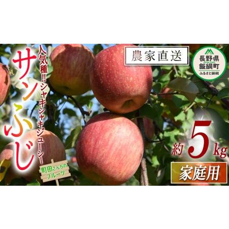 ふるさと納税 りんご サンふじ 家庭用 5kg 沖縄県への配送不可 2023年12月上旬頃から2024年2月上旬頃まで順次発送予定 町田さんちのりんご 長野.. 長野県飯綱町