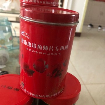 日餵紅熱帶魚食