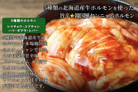 3種の北海道焼肉セット(ジンギスカン・道産味付豚ホルモン・道産牛甘辛ヤンニョムホルモン)3kg