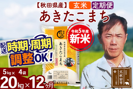 《定期便12ヶ月》＜新米＞秋田県産 あきたこまち 20kg(5kg小分け袋) 令和5年産 お届け時期選べる 隔月お届けOK お米 みそらファーム 発送時期が選べる