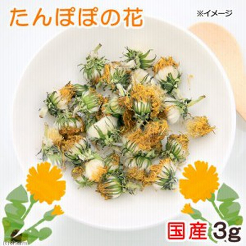 国産 たんぽぽの花 ３ｇ 小動物のおやつ 無添加 無着色 ドライフラワー ハムスター 餌 通販 Lineポイント最大1 0 Get Lineショッピング