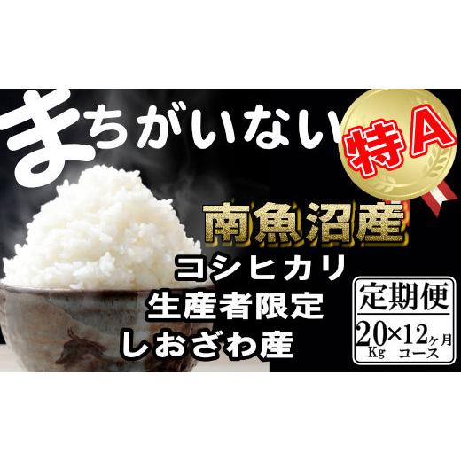 ふるさと納税 新潟県 南魚沼市 生産者限定 契約栽培　南魚沼しおざわ産コシヒカリ（20Kg×12ヶ月）