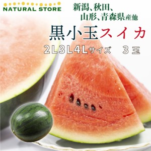 [最短順次発送] 黒こだまスイカ 小玉 2L3L4L 3玉 山形県産ほか 秋ギフト  夏ギフト 御中元 お中元 こだますいか