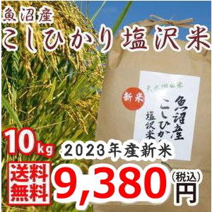 送料無料 （令和5年新米） 南魚沼産 コシヒカリ 塩沢米 10kg 精米 産地直送 こしひかり 白米