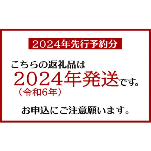 ふるさと納税 沖縄県 読谷村 アップルマンゴー（約2kg）