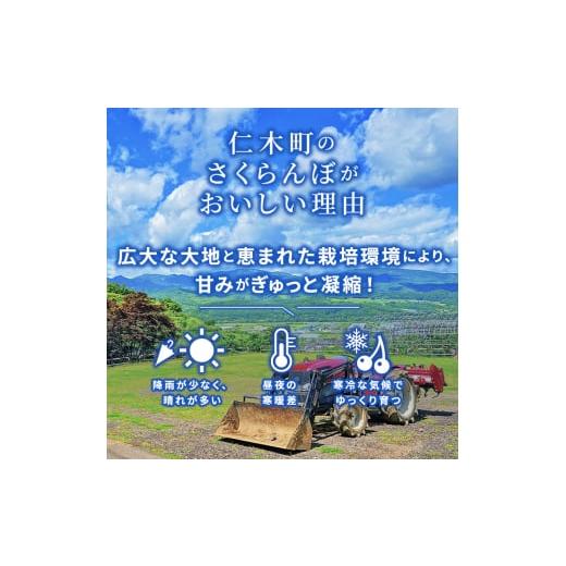 ふるさと納税 北海道 仁木町 先行予約 大塚農園 さくらんぼ800g（200g×4）サクランボ フルーツ