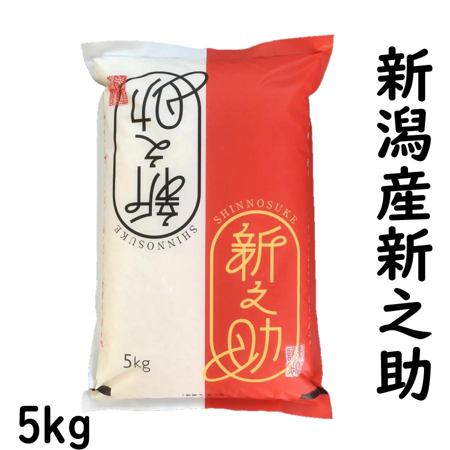 新米 新之助 新潟産 5kg 令和5年産 白米