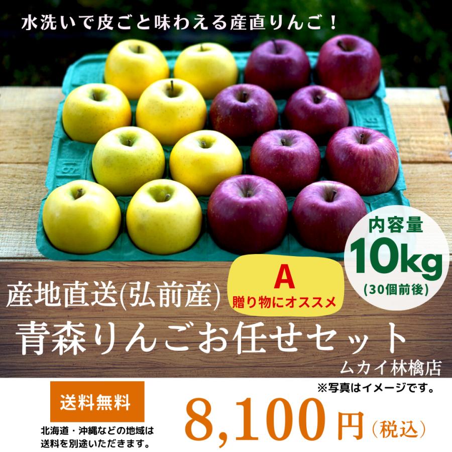 ◆産地直送(弘前産)「青森りんごお任せセット」10kg  A