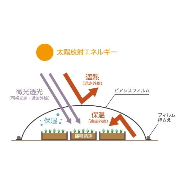 水稲ベタ掛け育苗　ピアレスフィルム　内張り用　TSタイプ　厚み0.12mm　幅270cm×長さ10m　オーダーカット加工商品