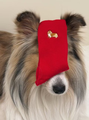 喜樂蒂牧羊犬の足下陪伴 羊毛襪3件組