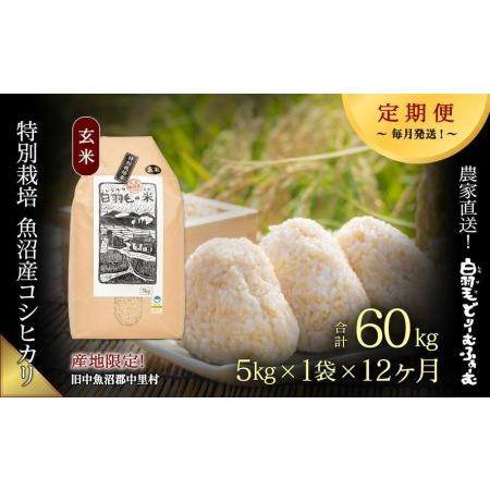 ふるさと納税 ≪令和5年産≫農家直送！魚沼産コシヒカリ特別栽培「白羽毛の米」玄米(5kg×1袋)×12回 .. 新潟県十日町市