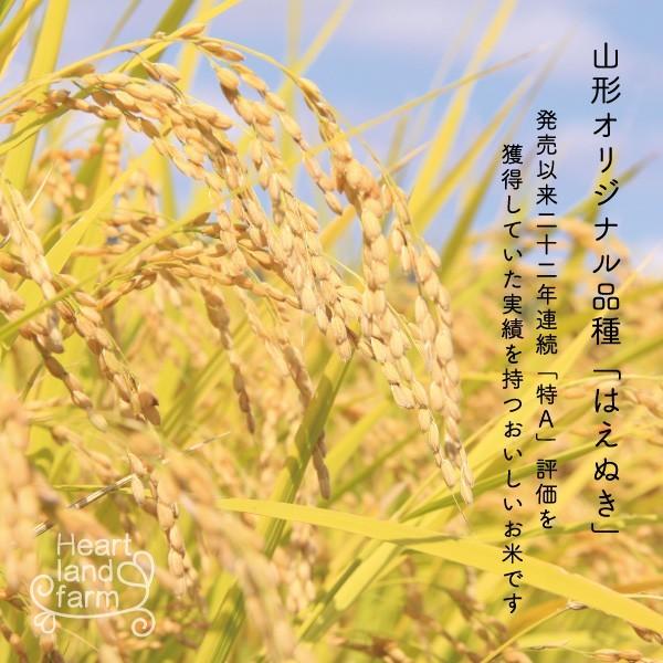 新米 はえぬき お試し米 900g 山形県 令和5年産 精白米 真空パック 送料無料 1kg以下 ポイント消化 ハートランドファーム