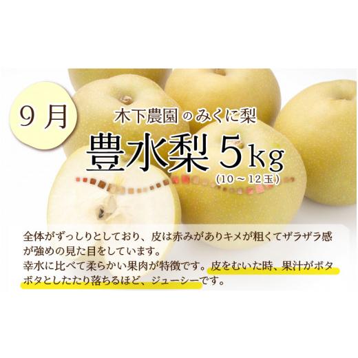 ふるさと納税 福井県 坂井市 木下農園のみくに梨 「こだわり梨の定期便」5kg (10〜12玉) × 3回【2024年8月中旬以降順次発送…