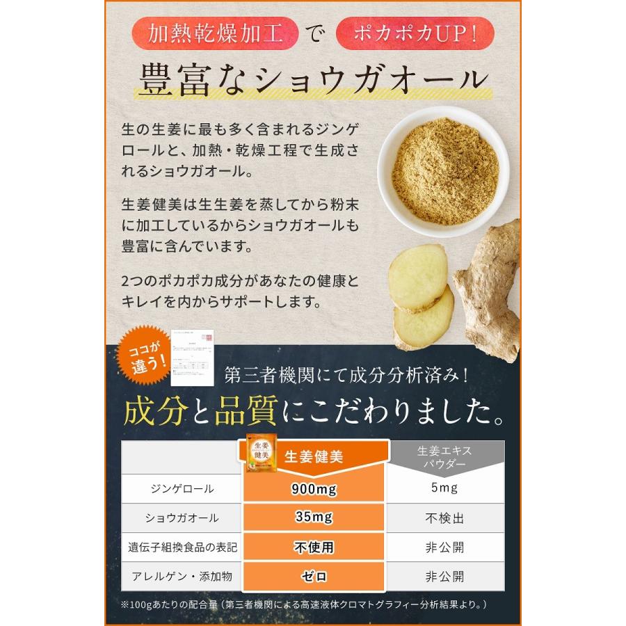 高知県産 生生姜100%使用 生姜パウダー 非遺伝子組み換え アレルゲンゼロ 添加物ゼロ 生姜健美 100g ショウガオール