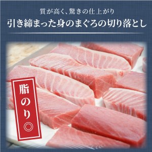 鷹島産本まぐろ 中トロ400g(まぐろ丼たれ付き)（マグロ 本マグロ 鷹島産本マグロ まぐろ 本まぐろ 鷹島産本まぐろ 鮪 本鮪 鷹島産本鮪 マグロ丼 まぐろ丼 鮪丼 本マグロ中トロ 本まぐろ中トロ 本鮪中トロ）