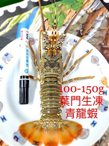 5隻 100 150g青龍蝦 葉門活凍 海鮮學院 台灣樂天市場 Line購物