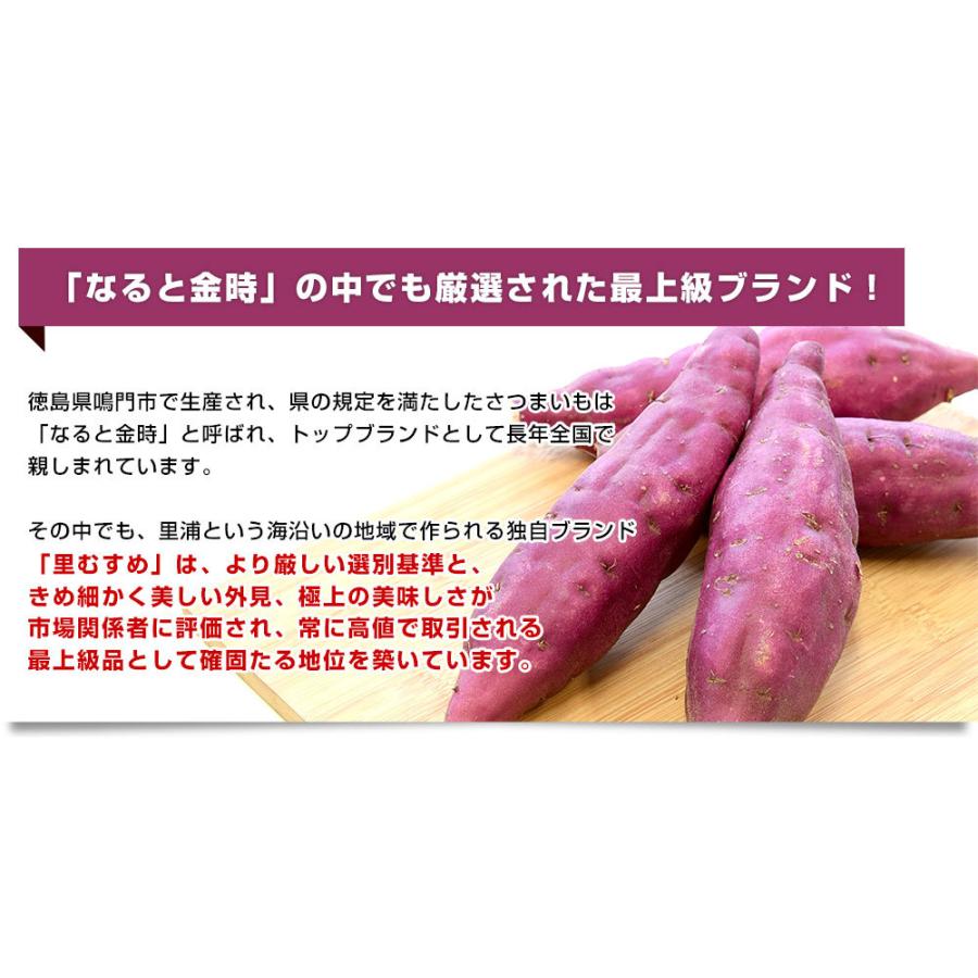 徳島県産 JA里浦 なると金時「里むすめ」 Lサイズ 約2.5キロ 9本前後 送料無料 きんとき さつまいも サツマイモ　薩摩芋 新芋 高系14号 市場発送