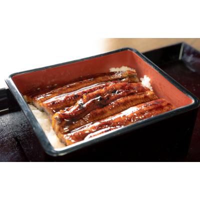 ふるさと納税 有田川町 紀州備長炭　炭焼うなぎ蒲焼2本(特大)　炭焼きも串セット