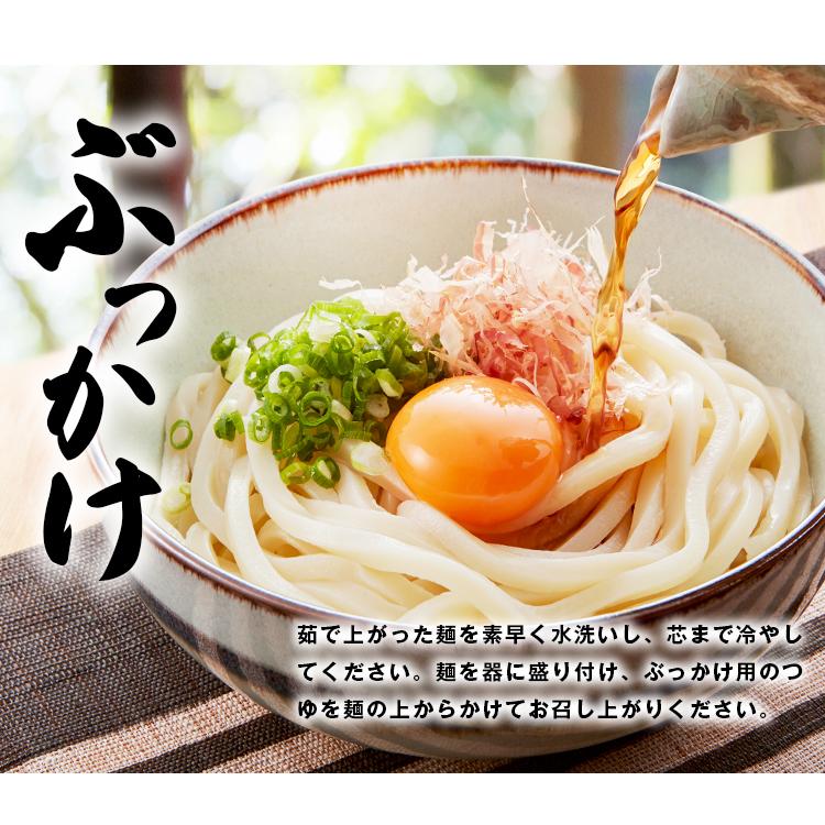 讃岐 生うどん 9食 (麺300g×3袋) 生麺 香川県 産地直送 送料無料 お取り寄せ ギフト 旨さに 訳あり 1000円 セール ポイント消化 [産直]