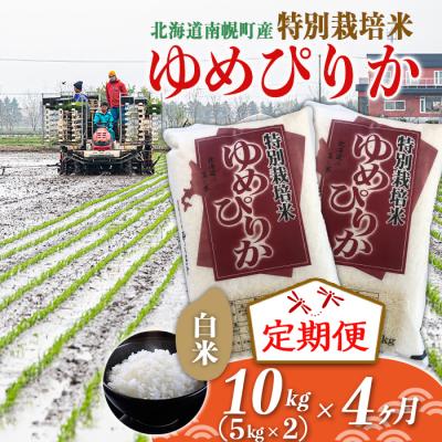 ふるさと納税 南幌町 北海道産 特別栽培米 ゆめぴりか 白米 5kg×2袋(10kg) 12月発送開始