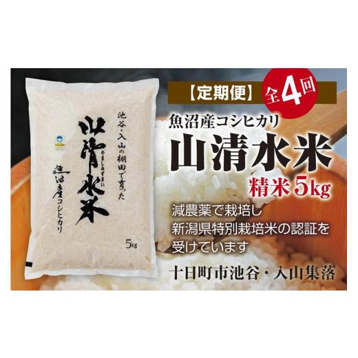 ふるさと納税 新潟県 十日町市 精米5kg　新潟県魚沼産コシヒカリ「山清水米」