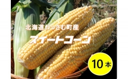 ≪令和6年産≫和寒産スイートコーン（10本セット）