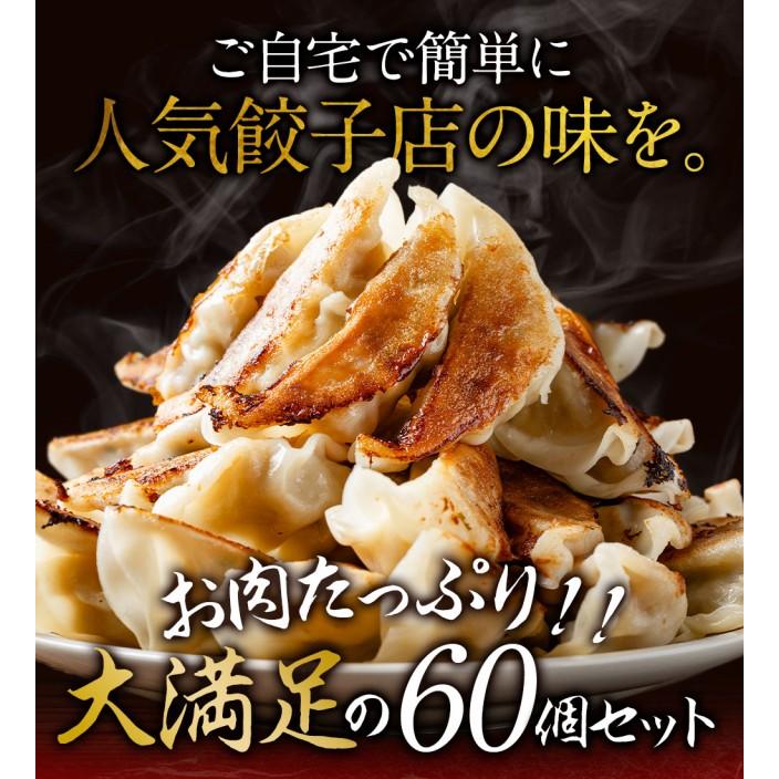 肉餃子 20g 15個 4セット 計60個 送料無料(離島別) 餃子 ぎょうざ ギョウザ お返し ギフト 冷凍 おつまみ お取り寄せ 中華 贈答 贈り物