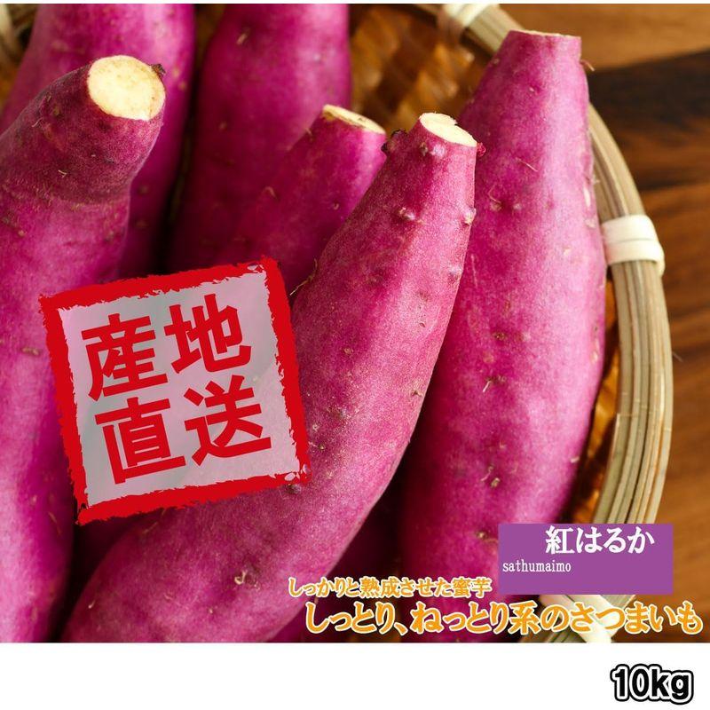 紅はるか 10キロ 特大サイズ さつまいも - 野菜